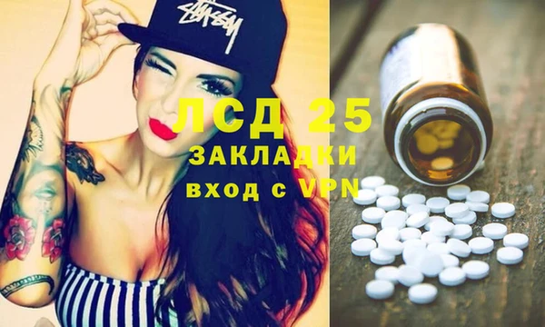 индика Сосновка