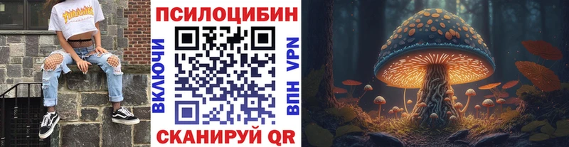 ссылка на мегу маркетплейс  Славянск-на-Кубани  Псилоцибиновые грибы Psilocybe 