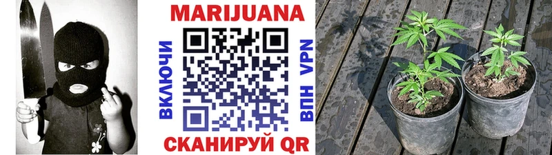 кракен рабочий сайт  как найти закладки  Славянск-на-Кубани  МАРИХУАНА сатива 